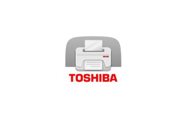 Заправка картриджей Toshiba Заправка картриджей Toshiba