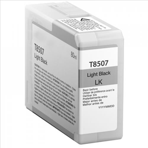 Картридж SC-P800 сірий Epson (C13T850700)