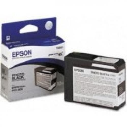 Картридж T580100 фото черный Epson (C13T580100)