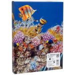 Картридж сумісний Epson T9661 XXL (C13T966140) 40K арк, чорний Barva (IC-T9661XXL)