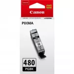 Картридж Canon Pixma TS6140/TS8140 PGI-480Bk Black (2077C001)