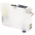 Картридж WWM для ЧПУ Epson Home Expression XP-103/313/413 Black (RC.T1701) с чипом